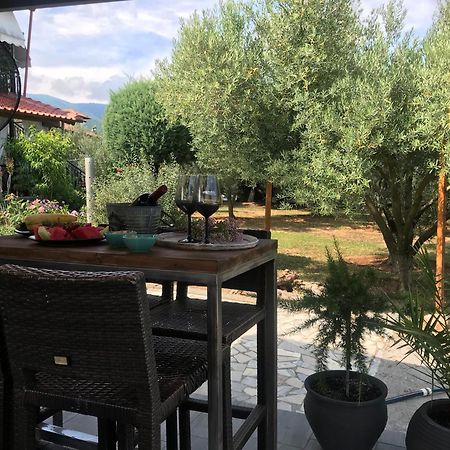 Terra Holiday Homes Asproválta Ngoại thất bức ảnh